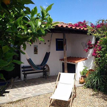 Willa Casa Da Tia Luisa Montoito Zewnętrze zdjęcie