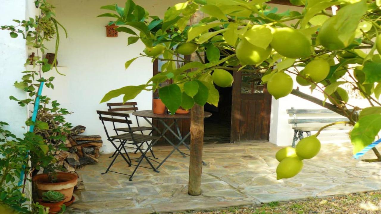Willa Casa Da Tia Luisa Montoito Zewnętrze zdjęcie